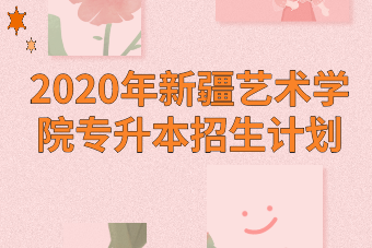 2020年新疆艺术学院专升本招生计划