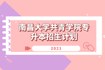 2021年南昌大学共青学院专升本招生计划汇总表一览