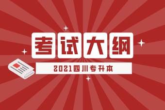 2021年四川理工学院专升本大学计算机基础考试大纲