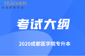2020年四川成都医学院专升本《大学计算机基础》考试大纲