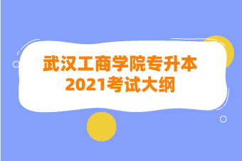 武汉工商学院专升本《图形创意》考试大纲（2021）