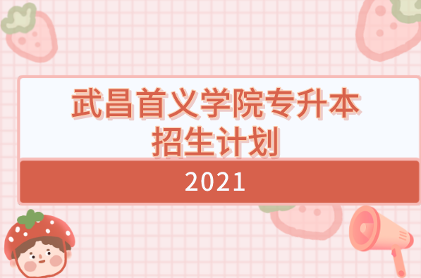 2021年武昌首义学院专升本招生计划汇总表一览