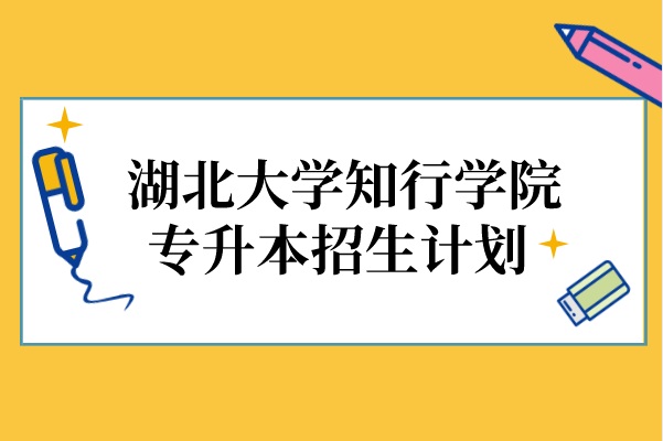 2021年湖北大学知行学院专升本招生计划汇总表