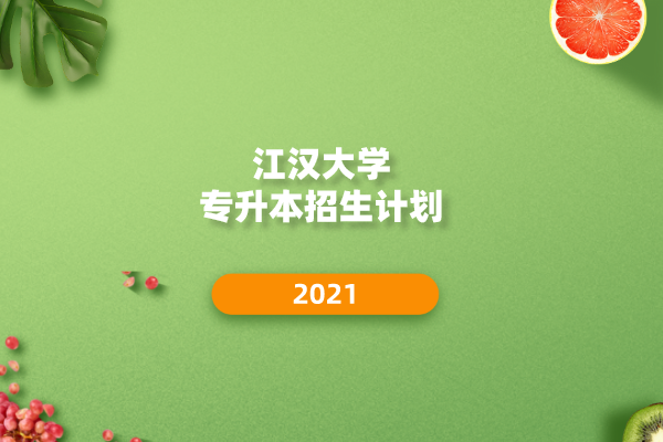 2021年江汉大学专升本招生计划汇总一览表